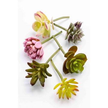 Artificial succulents JADON, spike, 6 pieces, colourful, 5.1"/13cm, Ø2"/5cm
