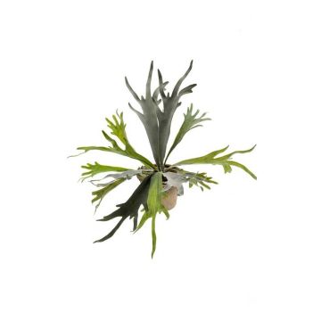 Artificial staghorn fern MARLEY in terracotta pot, green, Ø20"/50cm