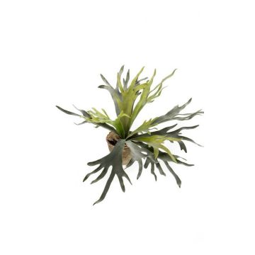 Artificial staghorn fern MARLEY in terracotta pot, green, Ø30"/75cm