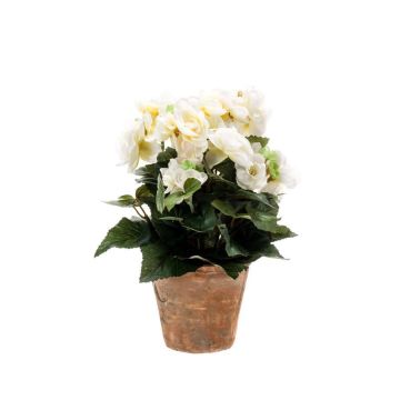 Artificial begonia DOBRADA in terracotta pot, cream, 10"/25cm