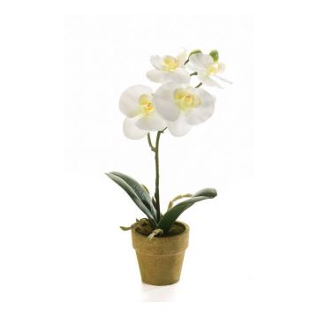 Artificial Phalaenopsis orchid SETH in decorative pot, cream, 10"/25cm