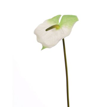 Fake flamingo flower MOIRA, white-green, 30"/75cm, 5.1"x8"/13x20cm