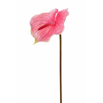 Fake flamingo flower MOIRA, pink-light pink, 30"/75cm, 5.1"x8"/13x20cm