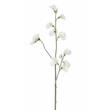 Artificial flower lathyrus ASFALOTH, white, 26"/65cm