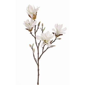 Artificial star magnolia AZULA, cream, 24"/60cm, Ø2.8"-3.5"/7-9cm