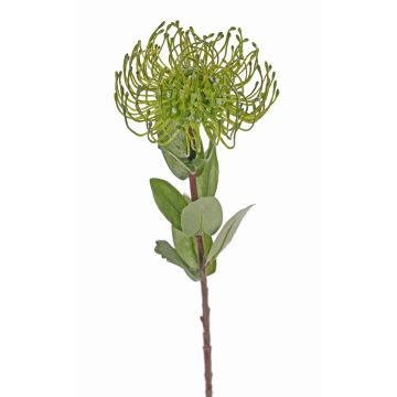 Artificial protea BAILY, green, 20"/50cm, Ø4.7"/12cm