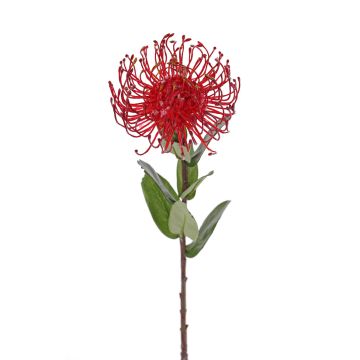 Artificial protea BAILY, red, 20"/50cm, Ø4.7"/12cm