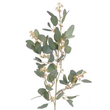 Artificial eucalyptus spray COBAR with flowers, crossdoor, green, 26"/65cm