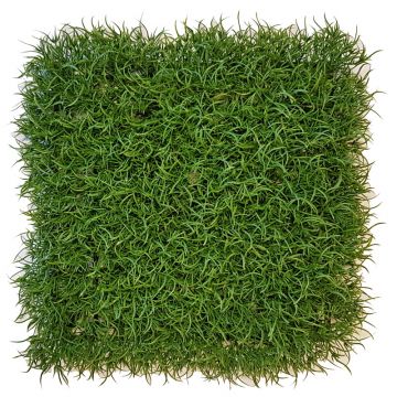 Artificial grass hedge / mat FILLY, crossdoor, green, 10"x10"/25x25cm
