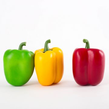 Artificial pepper mix PANNA, 3 pieces, red-yellow-green, 3"/7,5cm, Ø2.8"/7cm