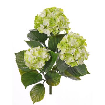 Artificial hydrangea SAIRA, spike, crossdoor, green-cream, 16"/40cm, Ø4.3"-5.1"/11-13cm