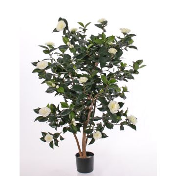 Artificial camellia japonica SENTA, real stems, flowers, cream, 4ft/135cm