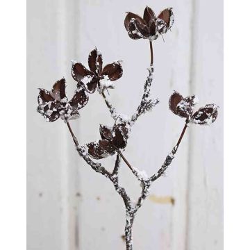 Plastic cotton branch NIRO, fruits, snow-covered, brown-white, 12"/30cm