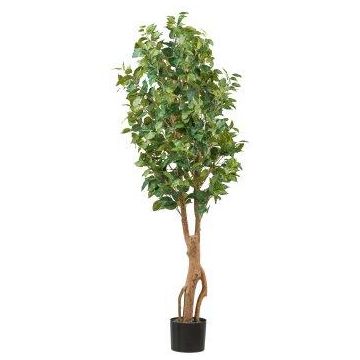 Artificial tree Ficus benjamina NATRONA, natural stems, 5ft/160cm