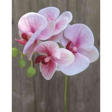 Artificial Phalaenopsis orchid spray OPHELIA, light pink-pink, 16"/40cm