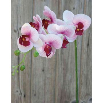 Artificial Phalaenopsis orchid spray OPHELIA, light pink-pink, 31"/80cm