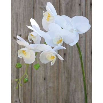 Artificial Phalaenopsis orchid spray OPHELIA, white, 31"/80cm