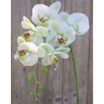 Artificial Phalaenopsis orchid spray OPHELIA, green-pink, 31"/80cm