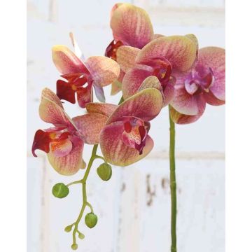 Artificial Phalaenopsis orchid spray OPHELIA, pink-green, 31"/80cm