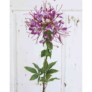 Artificial spider flower HILDEGARD, violet, 33"/85cm