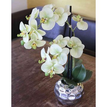 Artificial orchid Phalaenopsis EMILIA, planter, cream-green, 18"/45cm