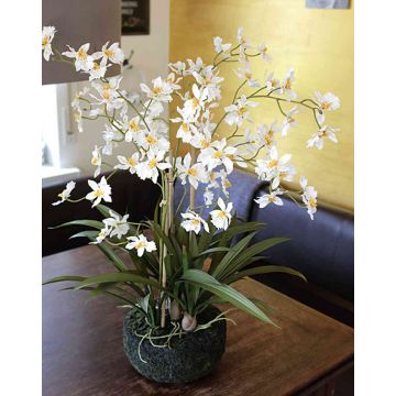 Fake Oncidium orchid AMELINA on soil ball, cream, 26"/65cm