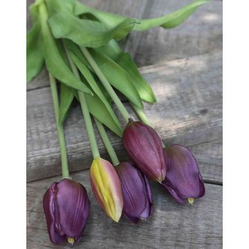 Artificial bouquet of tulips LONA, purple-green, 14"/35cm, Ø6"/15cm