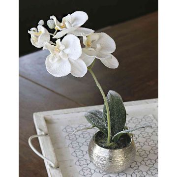 Artificial Phalaenopsis orchid KAREN, decorative pot, frosted, white, 14"/35cm
