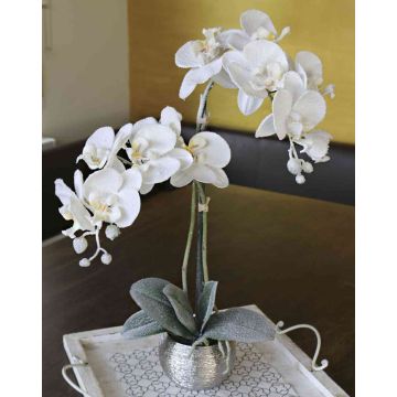 Artificial Phalaenopsis orchid KAREN, decorative pot, frosted, white, 20"/50cm