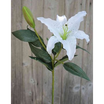 Fake tiger lily MELIHA, white, 30"/75cm