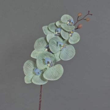 Artificial branch Phalaenopsis orchid LAWANDA, white-purple, 3ft/90cm