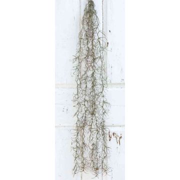 Artificial Tillandsia Usneoides CEVIN, spike, green, 3ft/100cm