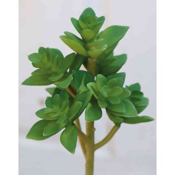 Artificial echeveria gibbiflora TROY, spike, green, 7"/17cm
