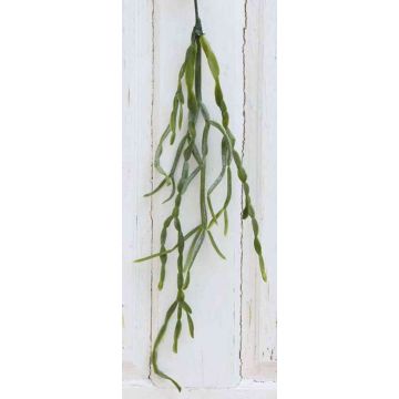 Artificial hanging plant Sea grass GLYMUR, spike, green, 24"/60cm