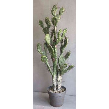 Artificial prickly pear Duo PHINEAS in decorative pot, green-grey, 3ft/105cm
