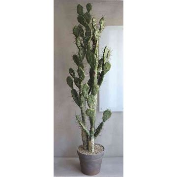 Artificial prickly pear trio PHINEAS in decorative pot, green-grey, 4ft/130cm