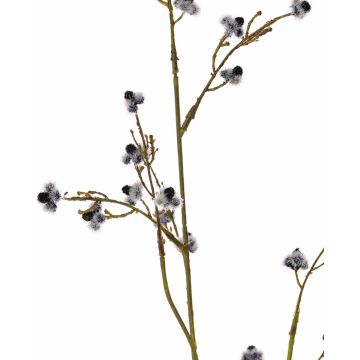 Artificial Stirlingia latifolia COLLAN, black-white, 33"/85cm