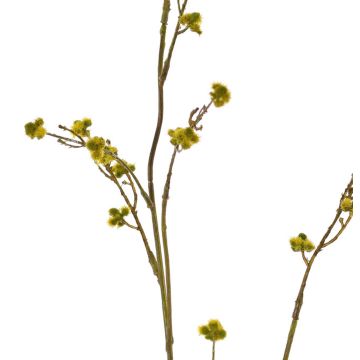 Artificial Stirlingia latifolia COLLAN, green-yellow, 33"/85cm