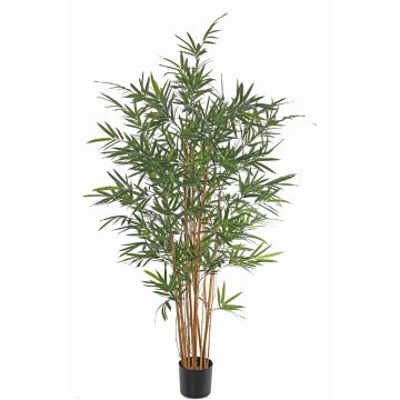 Artificial bamboo LUCINE, real stem, crossdoor, 8ft/230cm