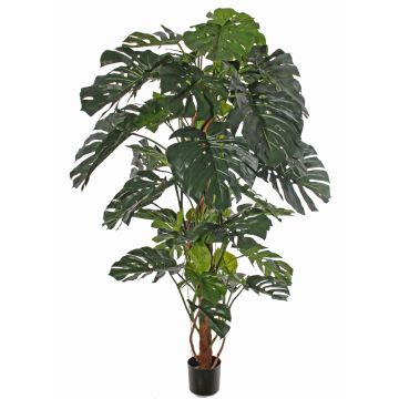 Artificial Philodendron Monstera Deliciosa CHORA, 6ft/190cm