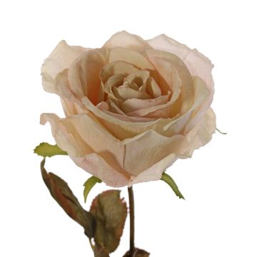 Artificial rose NAJMA, cream, 26"/65cm, Ø4.3"/11cm