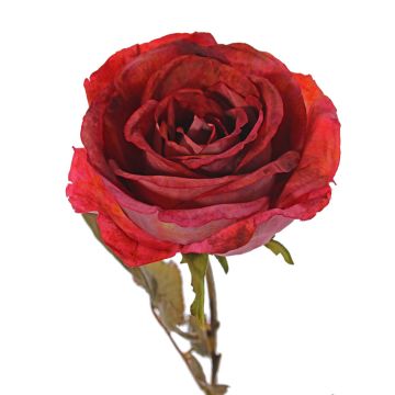 Artificial rose NAJMA, red, 26"/65cm, Ø4.3"/11cm