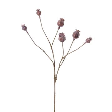 Artificial poppy capsules ASUMAN, brown, 28"/70cm