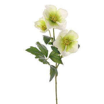 Artificial Christmas rose AKRAB, green-white, 18"/45cm, Ø2"-3.1"/5-8cm