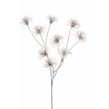 Artificial Clematis seed pod HARWAY, brown, 28"/70cm
