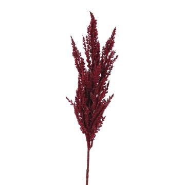 Artificial branch pampas grass panicle THEMBA, burgundy, 31"/80cm