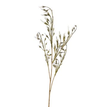 Artificial grass Arrhenatherum elatius branch TOIVO, ears, green, 26"/65cm