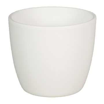 Ceramic pot for plants small TEHERAN BASAR, white matt, 3.9"/9,8cm, Ø4.7"/12cm