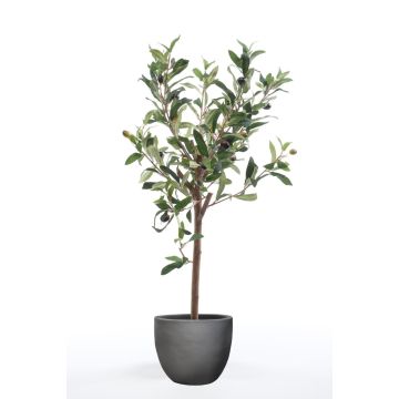 Artificial olive tree ALBERTO, real trunk, with fruits, 26"/65cm
