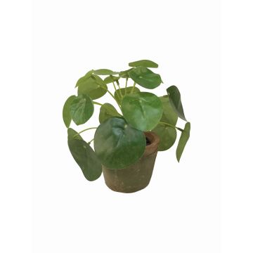 Artificial Chinese money plant SYBIL in terracotta pot, green, 5.1"/13cm